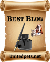 a best blog award